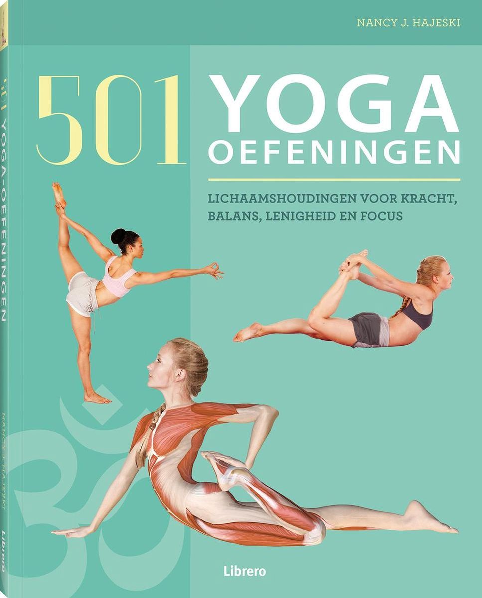 501 Yoga-oefeningen: Een Complete Gids van Nancy J. Hajeski yogablog.nl