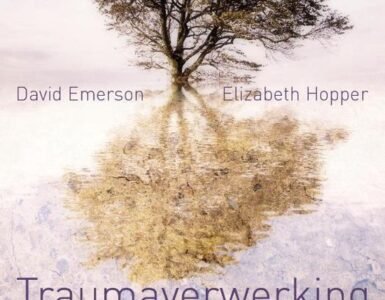 Traumaverwerking door Yoga: Een Gids van David Emerson en Elizabeth Hopper https://www.bol.com/nl/nl/p/traumaverwerking-door-yoga/9200000021732564/